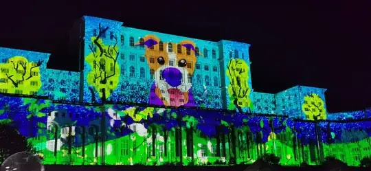 Dog adoption ad projected onto the Romanian People's House
