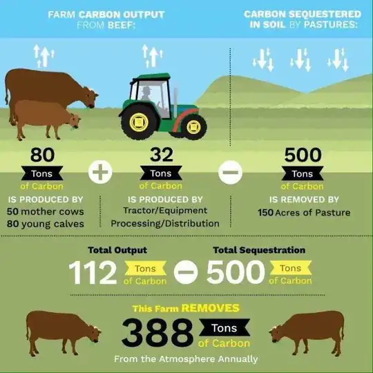Farm Carbon output from beef: 80 tones of Carbon is produced by 50 mother cows  80 young calves + 32 tons of carbonm is produced by tractor/equipment processing/distribution - 500 tons of Carbon is removed by 150 acres of Pasture. Total output 112 tons of Carbon - Total Sequestration 500 tons of carbnon. This farm removes 388 tons of Carbon from the atmosphere annually.