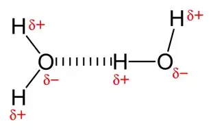hydrogen bonding