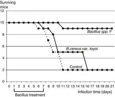 3 pronged study with BF strain, tochoy strain and control