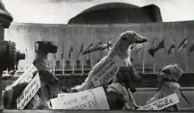 Dogs outside the UN protesting the launch of Sputnik 2