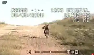 chupacabra film