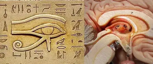 Diagram comparing a hieroglyph to a brain section