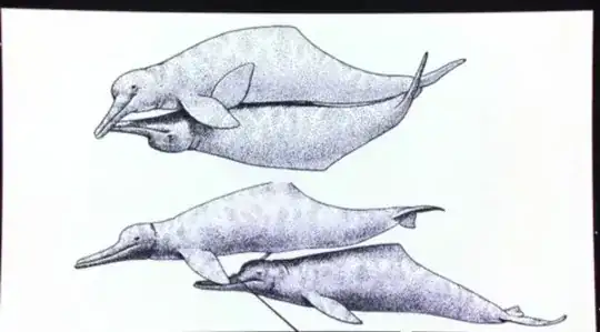 Dolphins getting it on
