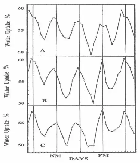 Water absorption by bean seeds and lunar phases