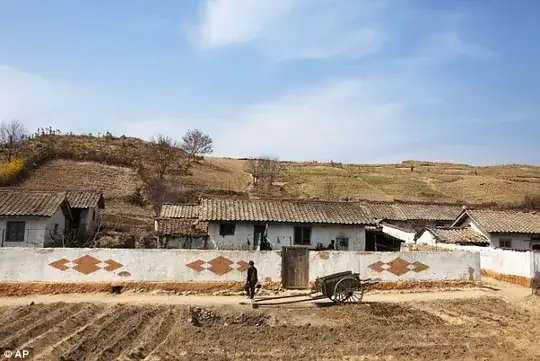 N Korean farm