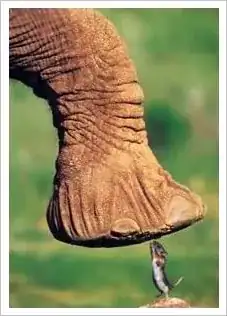 Mouse and Elephant
