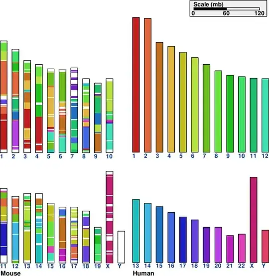 mouse genome