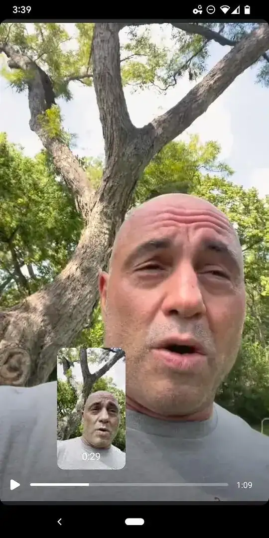 Giant Joe