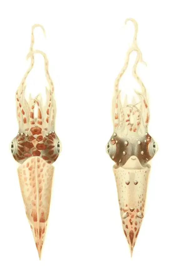 A Squid