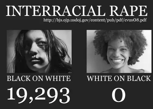 Interracial Rape: 19,283 cases of "black on white", 0 cases of "white on black"