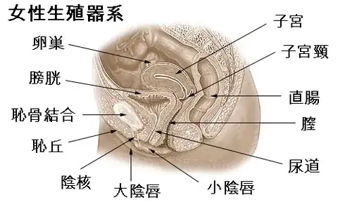 Diagram from Japanese Wikipedia