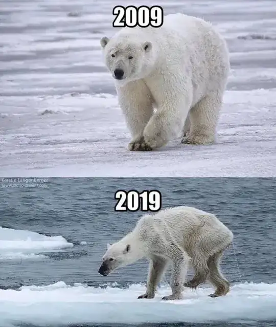 polar bear in 2009 vs 2019