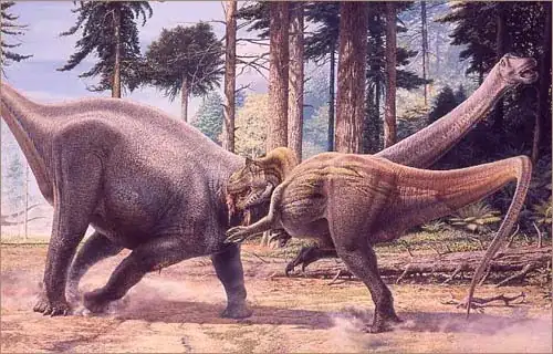 Allosaurus attacking Diplodocus