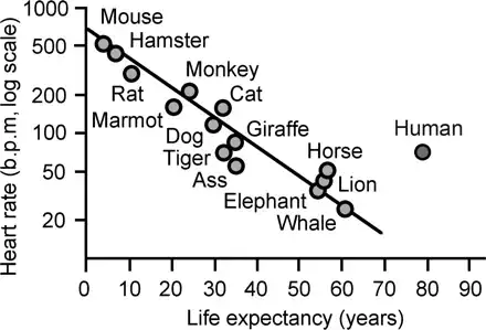 Life span