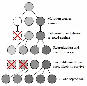 Mutation and selection