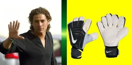 Guillermo Ochoa