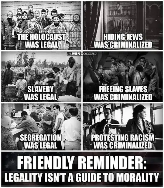 Image reads: "The Holocaust was legal, hiding Jews was criminalized, slavery was legal, freeing slaves was criminalized, segregation was legal, protesting racism was criminalized.  Friendly reminder: legality isn't a guide to morality."