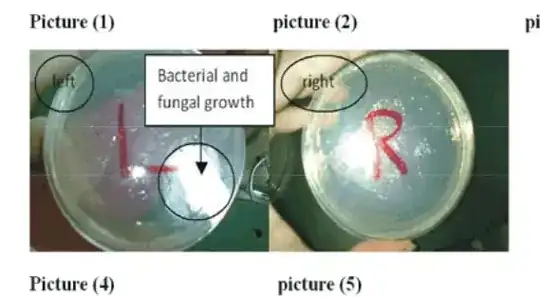 Two things are shown, difference is unclear. Image is potato quality