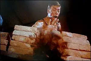 Jean Claude breaking a brick