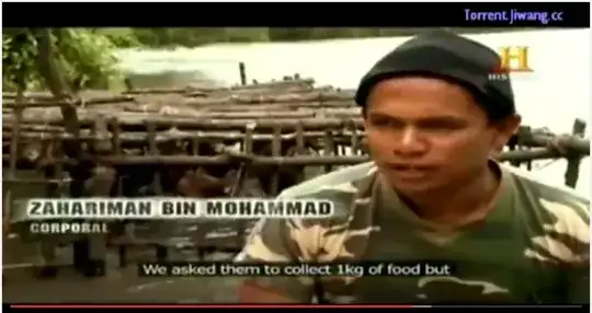 From the History Channel Documentary