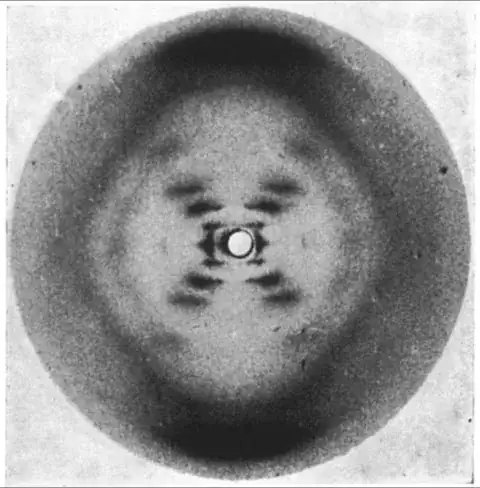 Photo 51 - X-ray diffraction of DNA