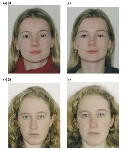 sample image pairs