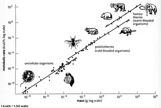 Kleiber's Law