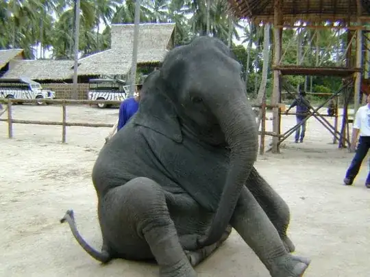 Elephant sucking his own elephant penis pt 2.