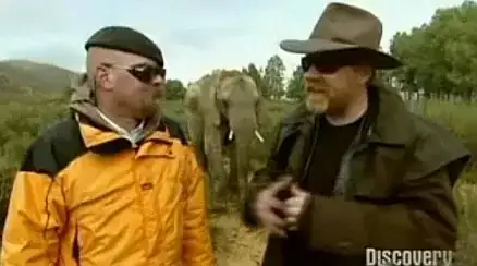 MythBusters