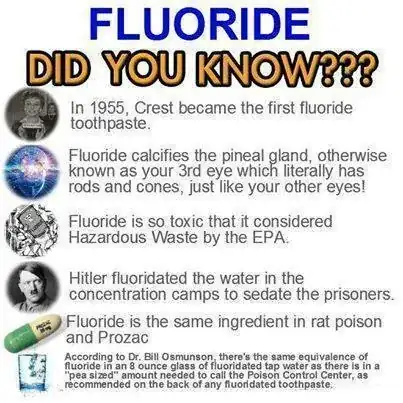 FLUORIDE: Did you Know