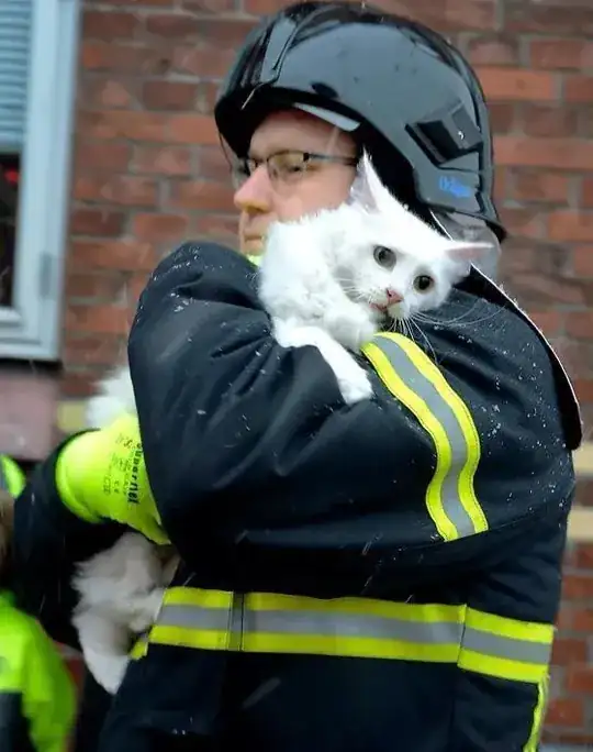 Fireman holding a cat