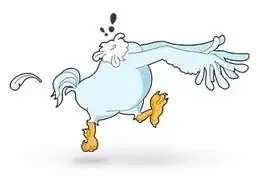 headless chicken