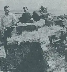 Grupo de malvinenses paleando turba hacia los años 1950.