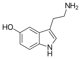 Serotonin