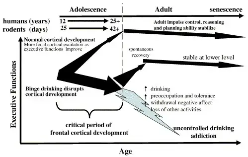Map of drug use effects on development