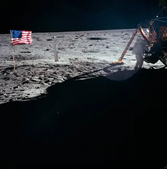 Image of photograph being sold by Chritie's as the only photo of Neil Armstrong