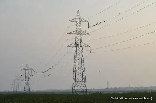 birds on HV power lines