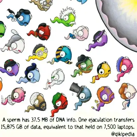 sperm factoid