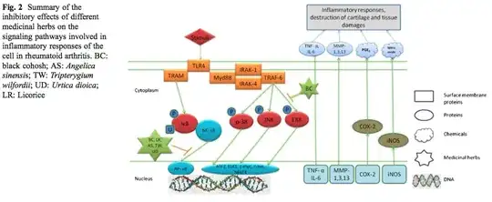 Summary of the inhibitory effects of different medicinal herbs on the signaling pathways involved in inflammatory responses of the cell in rheumatoid arthritis.