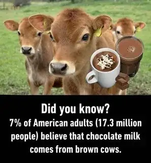 cow theory