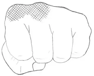 Karate Seiken from Wikipedia