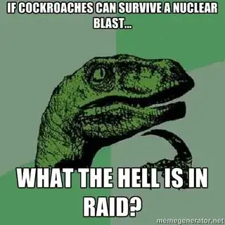 Cockroaches and Raid
