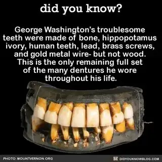 a screenshot of a list of materials claim George Washington's teeth were made from, including human teeth