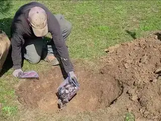 'fertilising' trees with ashes from burned books
