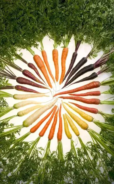 carrots of many colours