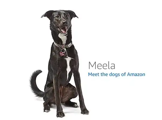 a dog picture indicating an error at Amazon