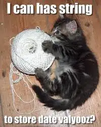 cat with strings
