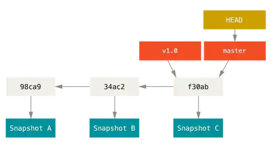 A branch and its commit history