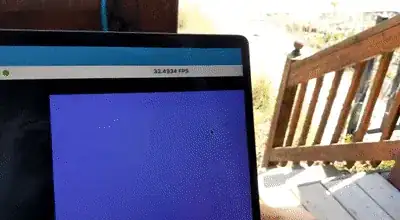 FPS counter claims ≈30 FPS but it's more like 1 FPS. Notice the grass blowing in the breeze behind the screen.